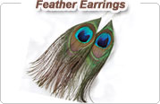 Feather Earrings