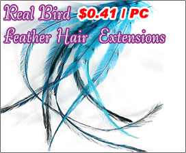 Real Bird Feather