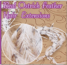 Real Ostrich Feather